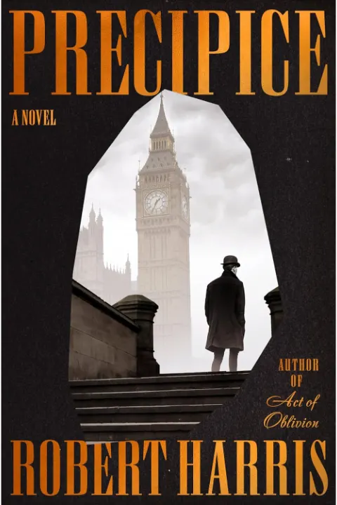 Cover of Precipice